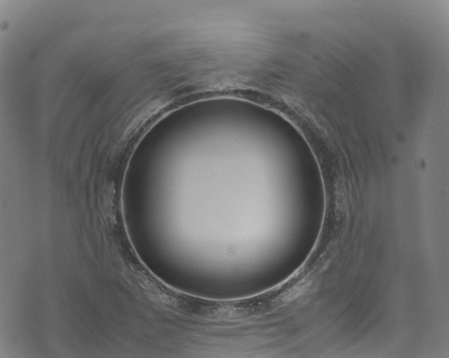 X0000072501265200607211240