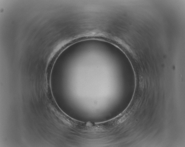 X0000072501270200607211240