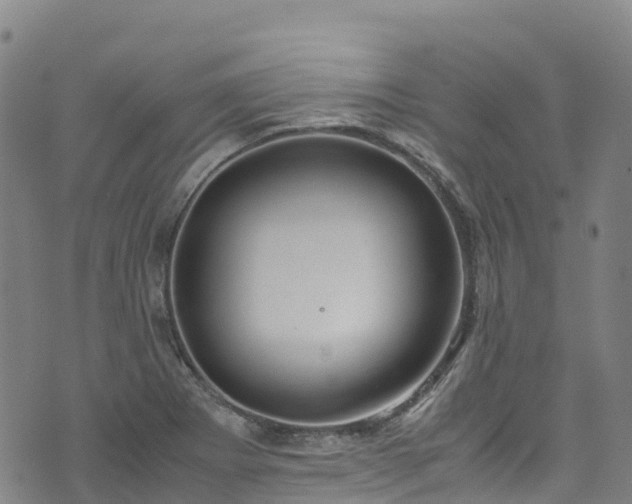 X0000072501273200607211240