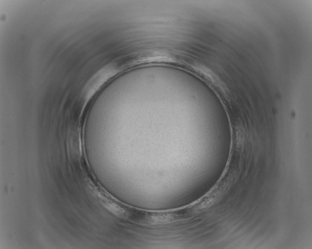 X0000072501274200607211240