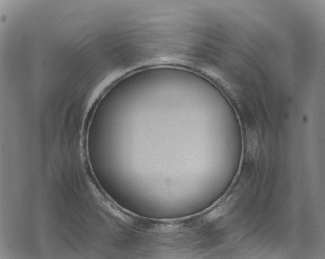 X0000072501278200607211240