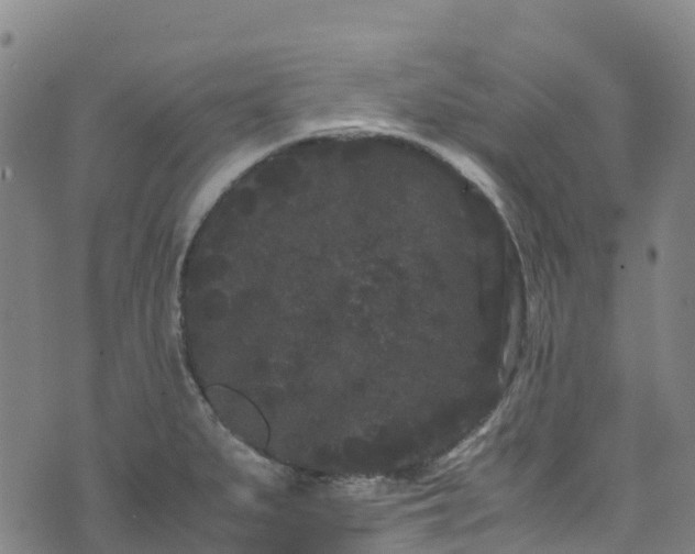 X0000072501279200607211240