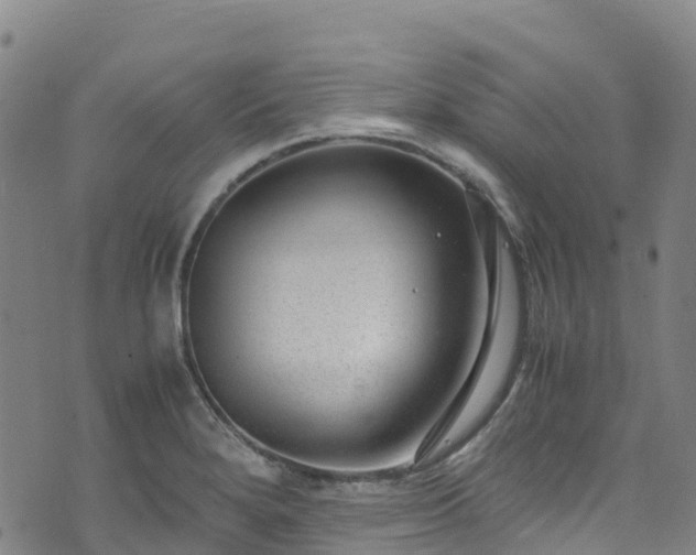 X0000072501280200607211240