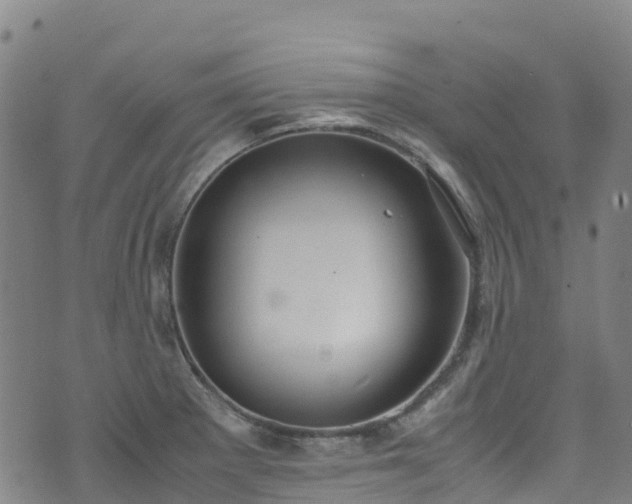 X0000072501281200607211240