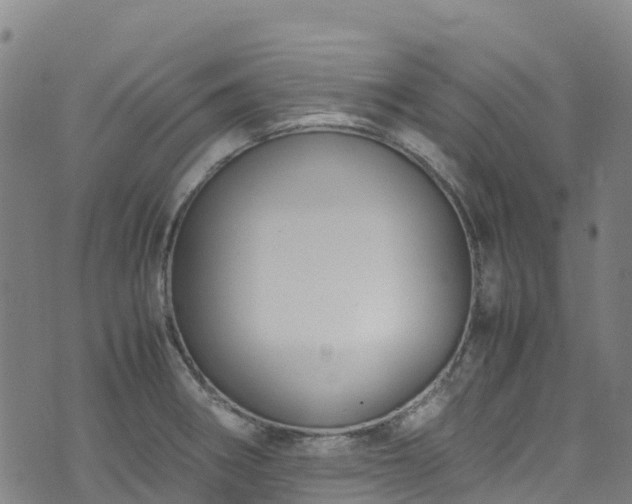 X0000072501282200607211240