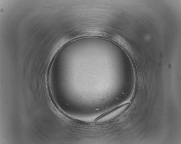 X0000072501283200607211240