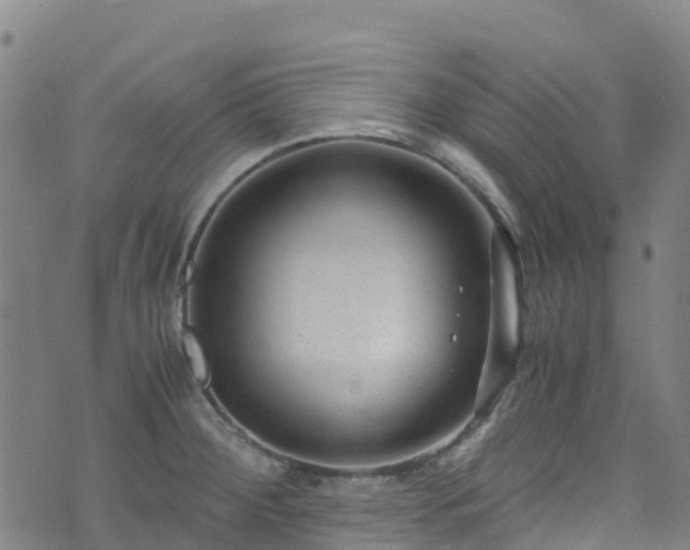 X0000072501284200607211240