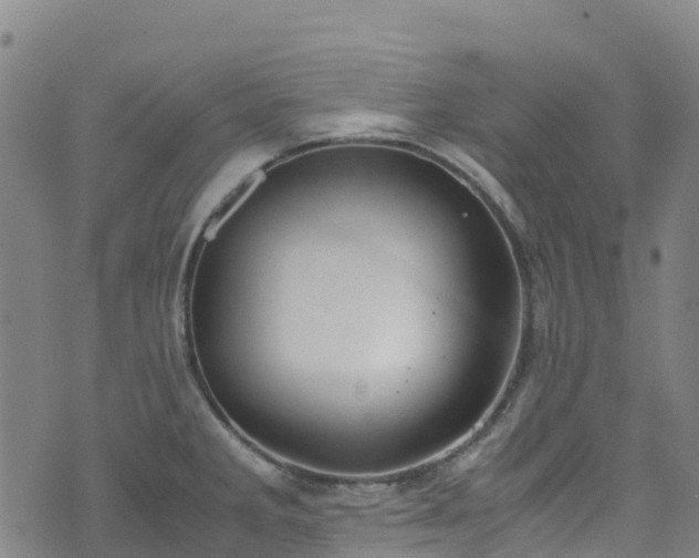 X0000072501285200607211240