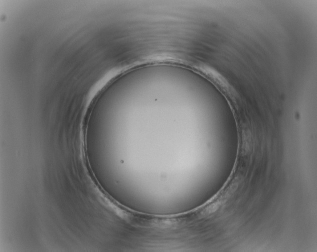 X0000072501286200607211240