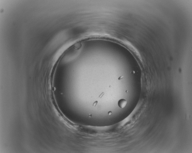 X0000072501287200607211240