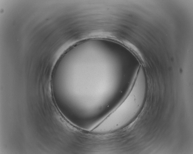 X0000072501288200607211240