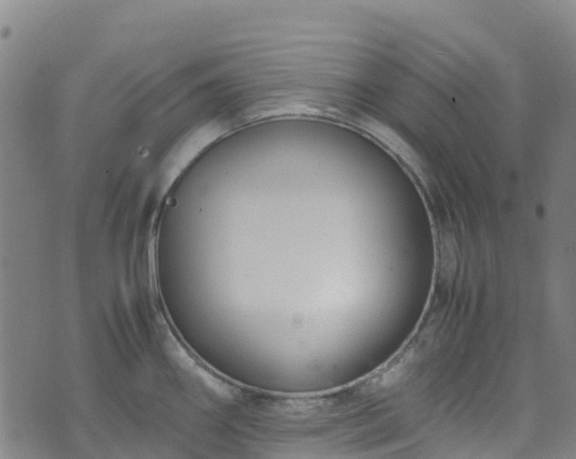 X0000072501290200607211240