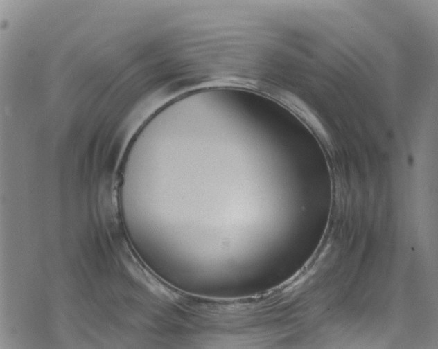 X0000072501292200607211240