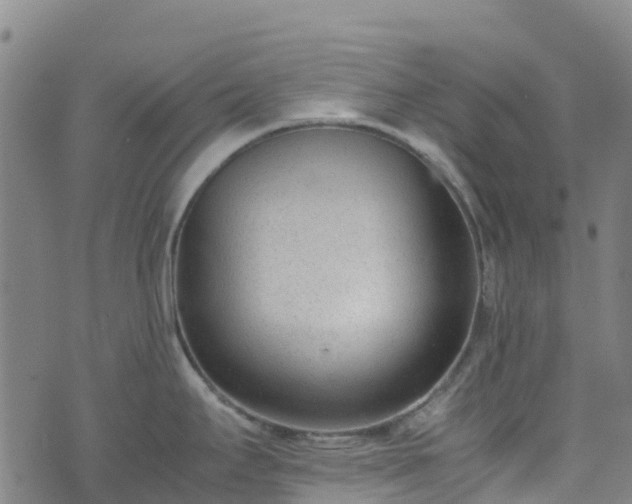 X0000072501295200607211240