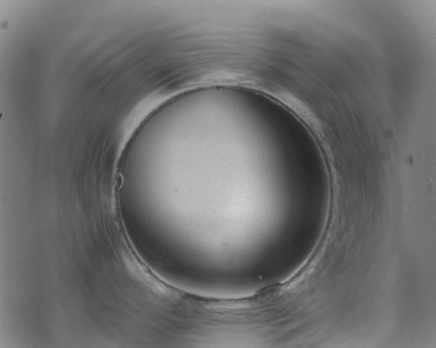 X0000072501296200607211240