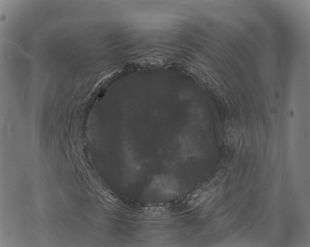 X0000072501297200607211239