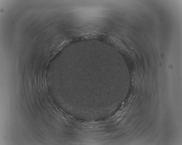 X0000072501298200607211239