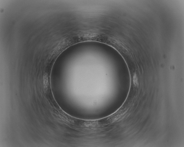 X0000072501299200607211239