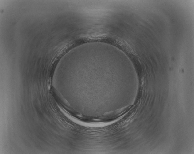 X0000072501300200607211239