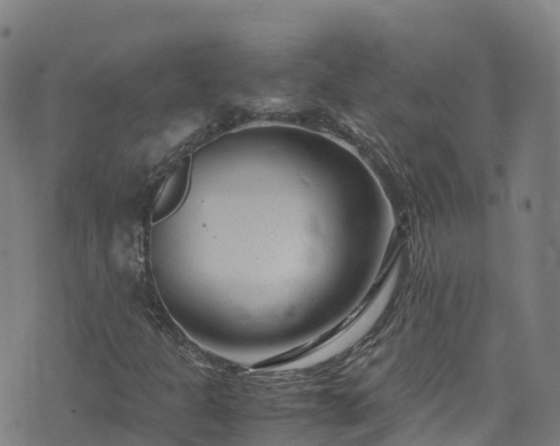 X0000072501301200607211239