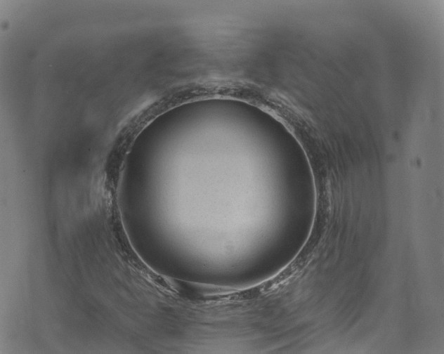 X0000072501302200607211239