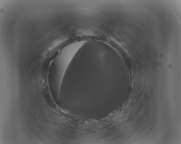 X0000072501303200607211239