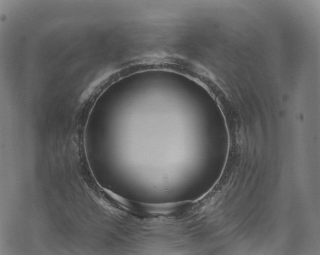 X0000072501304200607211239