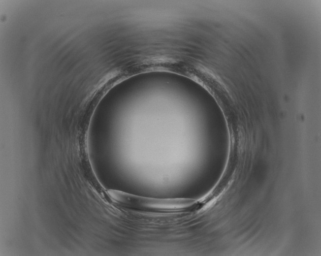 X0000072501305200607211239