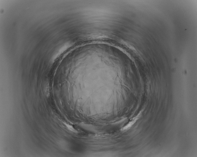 X0000072501306200607211239