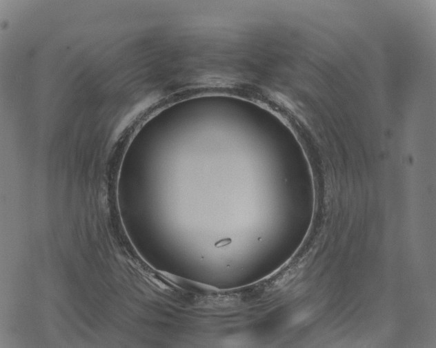 X0000072501307200607211239