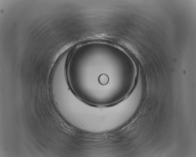 X0000072501308200607211239