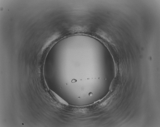 X0000072501309200607211239