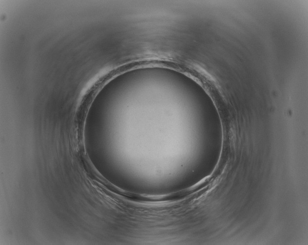 X0000072501310200607211239