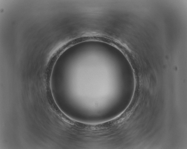 X0000072501311200607211239