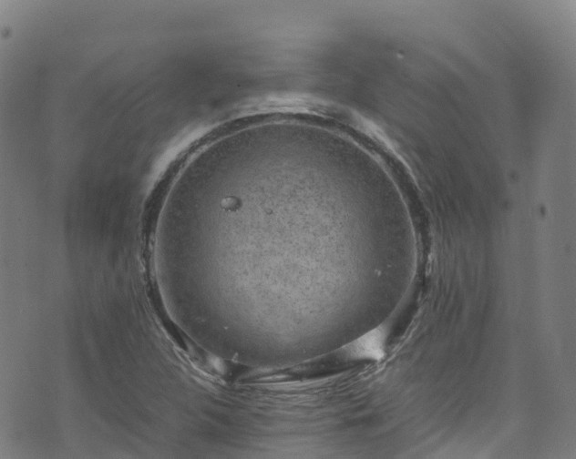 X0000072501312200607211239