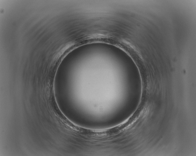 X0000072501313200607211239