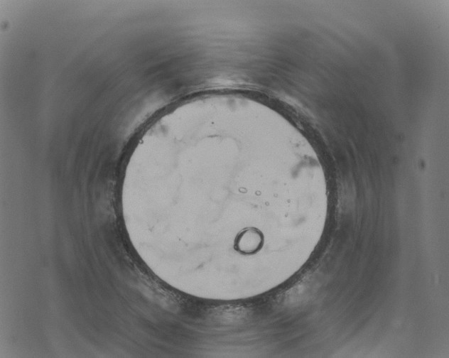 X0000072501314200607211239