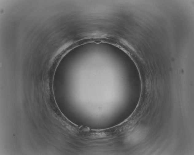 X0000072501315200607211239