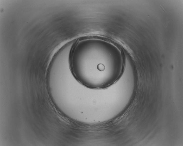 X0000072501316200607211239