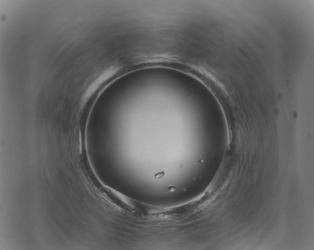 X0000072501317200607211239