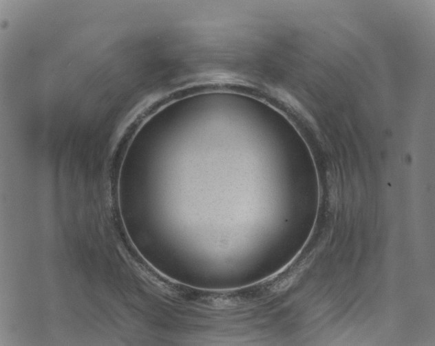 X0000072501318200607211239