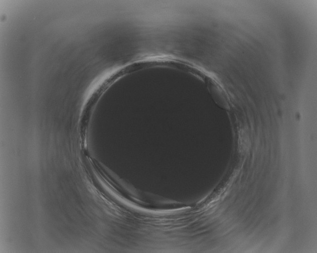 X0000072501319200607211239