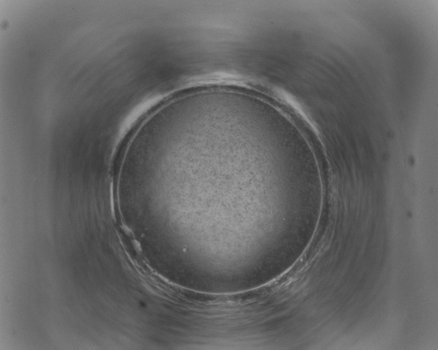 X0000072501320200607211239