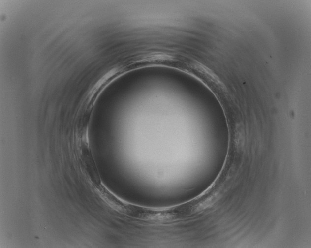 X0000072501321200607211239