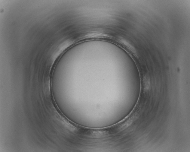 X0000072501322200607211239