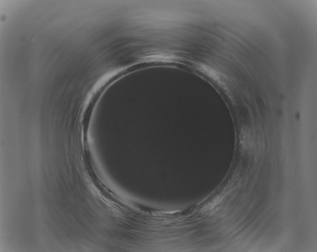 X0000072501323200607211239