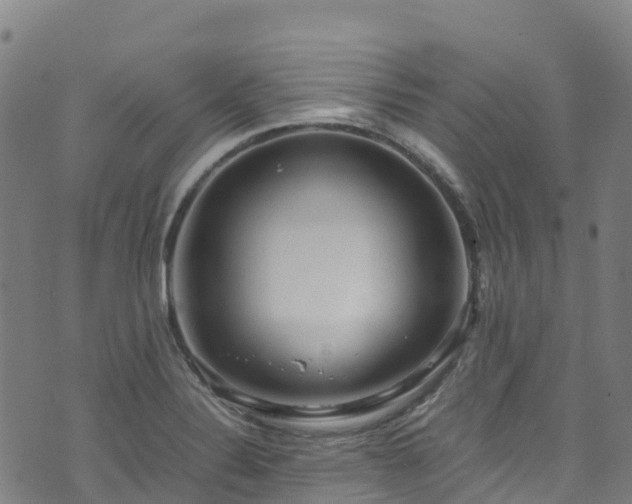 X0000072501324200607211239