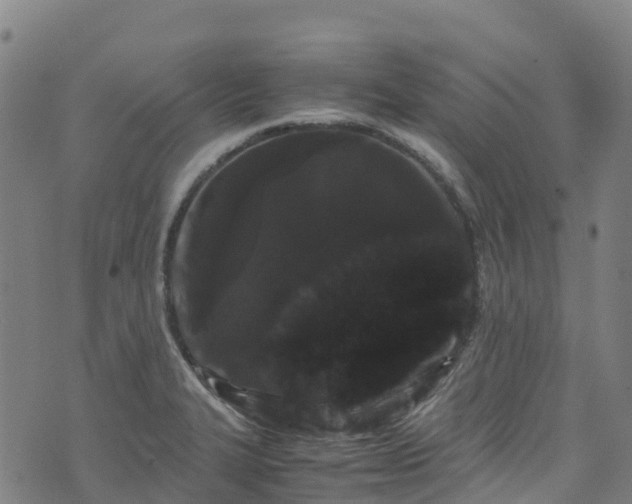 X0000072501327200607211239