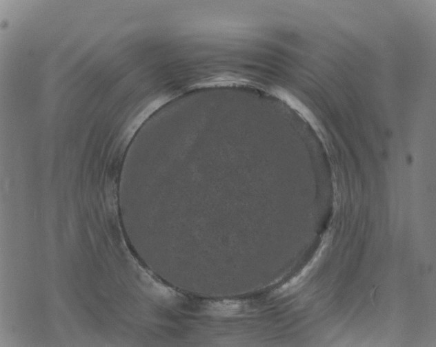 X0000072501329200607211239