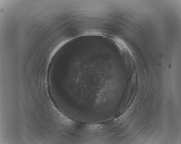 X0000072501331200607211239